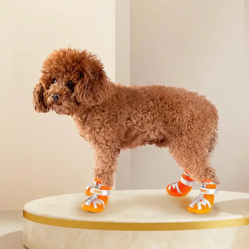 Fashionable and Comfortable Dog Shoes for All Seasons